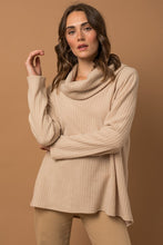 Load image into Gallery viewer, Carter Long Sleeve Turtleneck Top
