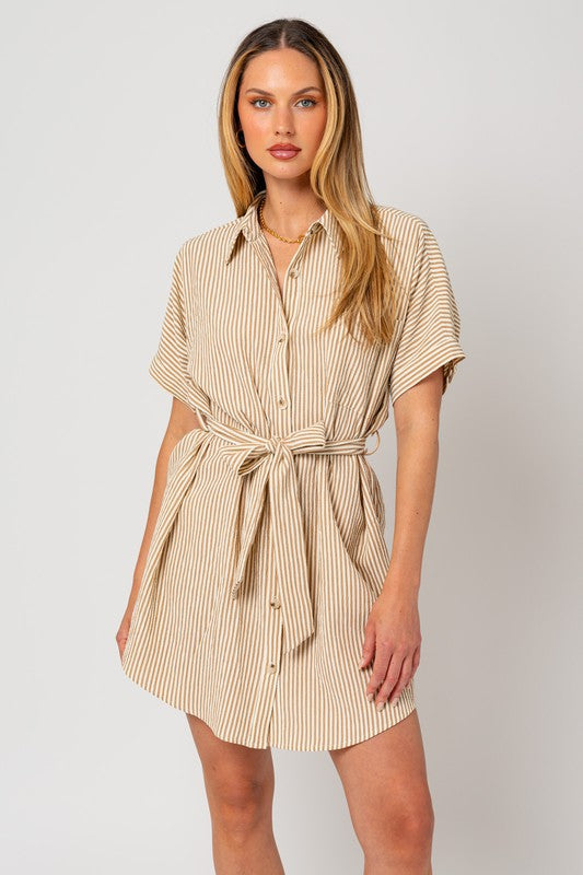 The One Shirt Dress